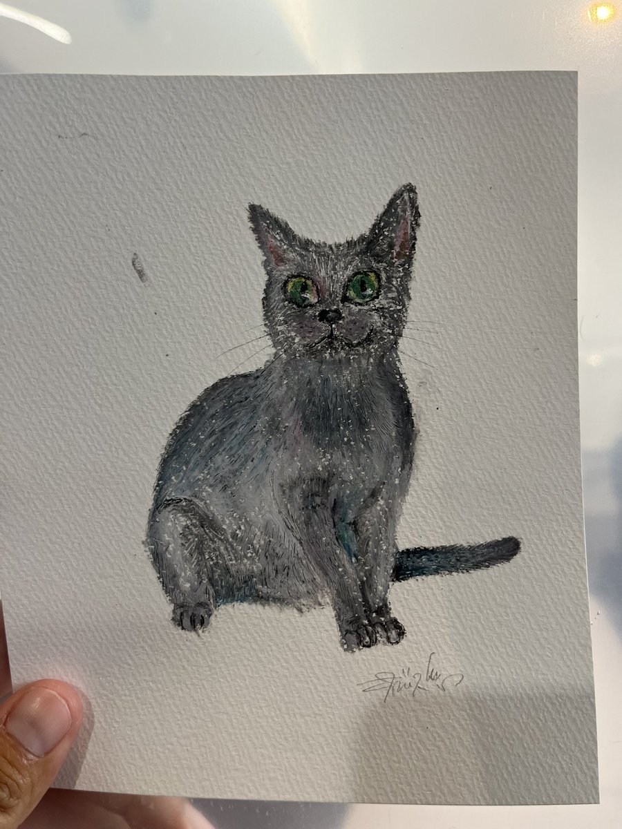 chuntanu0312's tweet photo. 権藤可恋選手が僕のために猫のイラストを描いてくださいました☺️

昨年の彼女の誕生日にプレゼントしたクレヨンと画用紙を使ってくれたみたいです🤗

家に大切に飾りたいと思います☺️🫰

#権藤可恋 https://t.co/AWY4zebsAL