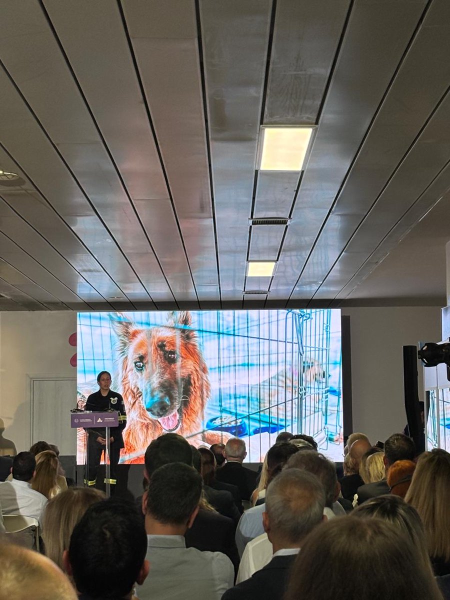 AnimalActionGr's tweet photo. Earlier this week, we attended the launch of Greece's new National Animal Protection Mechanism for Natural Disasters, a positive step towards improving emergency planning and response for companion animals.

Read more: https://t.co/x6HMzFeyaI https://t.co/TUrtBDRsRy