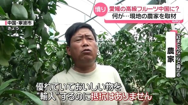 livedoornews's tweet photo. 【なぜ】愛媛の高級フルーツ「紅プリンセス」中国流出か…県知事「正直に言って悔しい」
https://t.co/rkQWq5G3Fw

20年近くかけて開発された「高級かんきつ」。中国の農家は「優れていておいしいものを“輸入”するのに抵抗はありません。中国人にもおいしいものを食べさせたいでしょう？」と話した。 https://t.co/ANe8GLYr5t