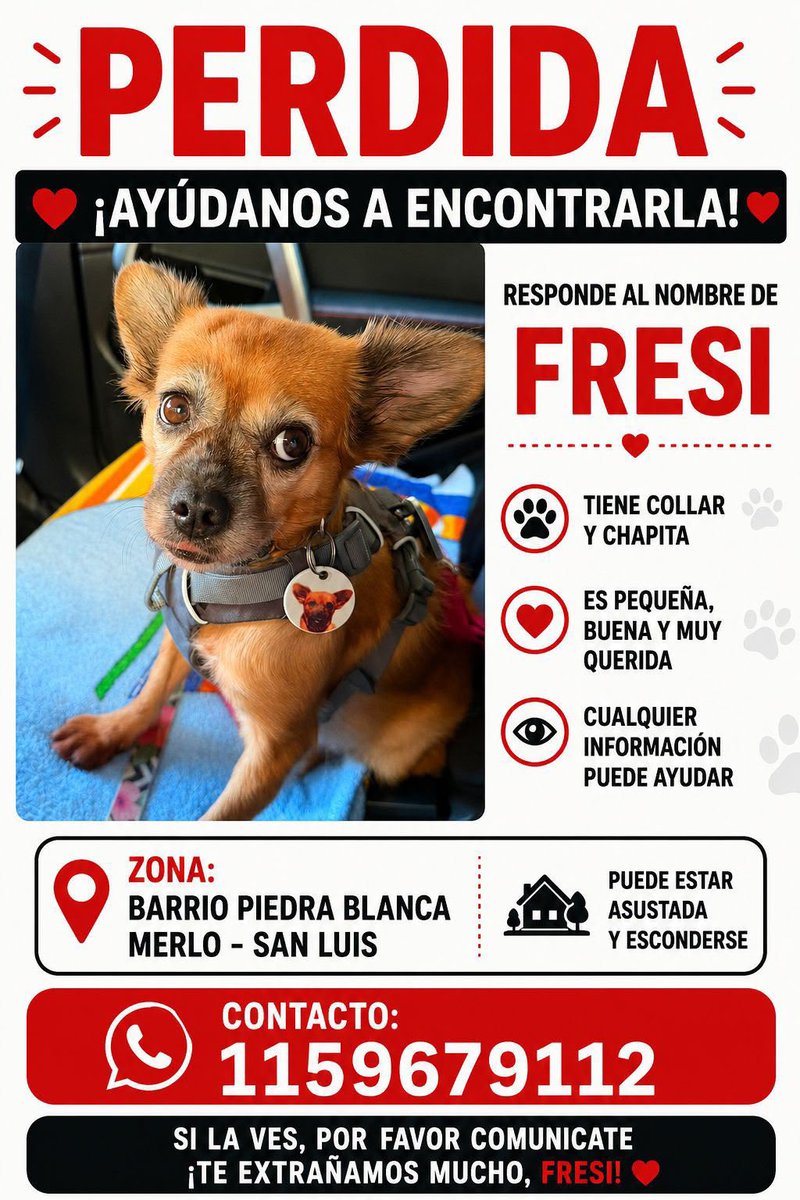 Fernando Carlos tweet media