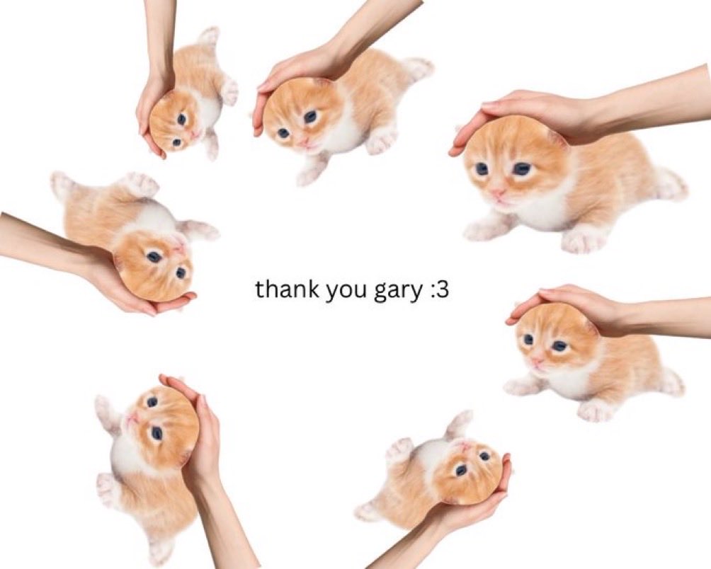 m0rtelle's tweet photo. @thankyougary__ thank you Gary 🧡🤍 https://t.co/2v37mmL8Cl