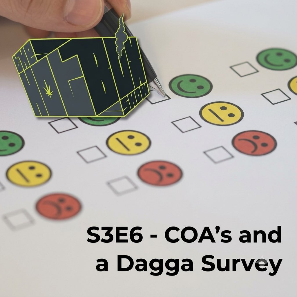 DaggaCouple's tweet photo. Tonight at 7pm! 🎙️ Hotboxshow S3E6: COA’s &amp; a Dagga Survey

Plus, we need your voice! Take 4 mins for this 100% anonymous Dagga Survey: 
https://t.co/BqjdNmRb8l

https://t.co/oRZ5DNJrDd https://t.co/3DE5QGK2ls