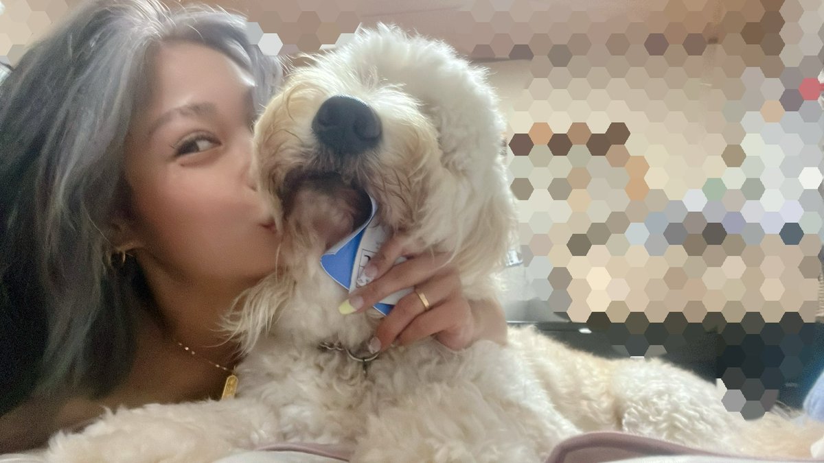 HMchanaaaa's tweet photo. お休みは溺愛くんと🐶aaa

#大型犬　#溺愛 https://t.co/6V0KkxaFfL
