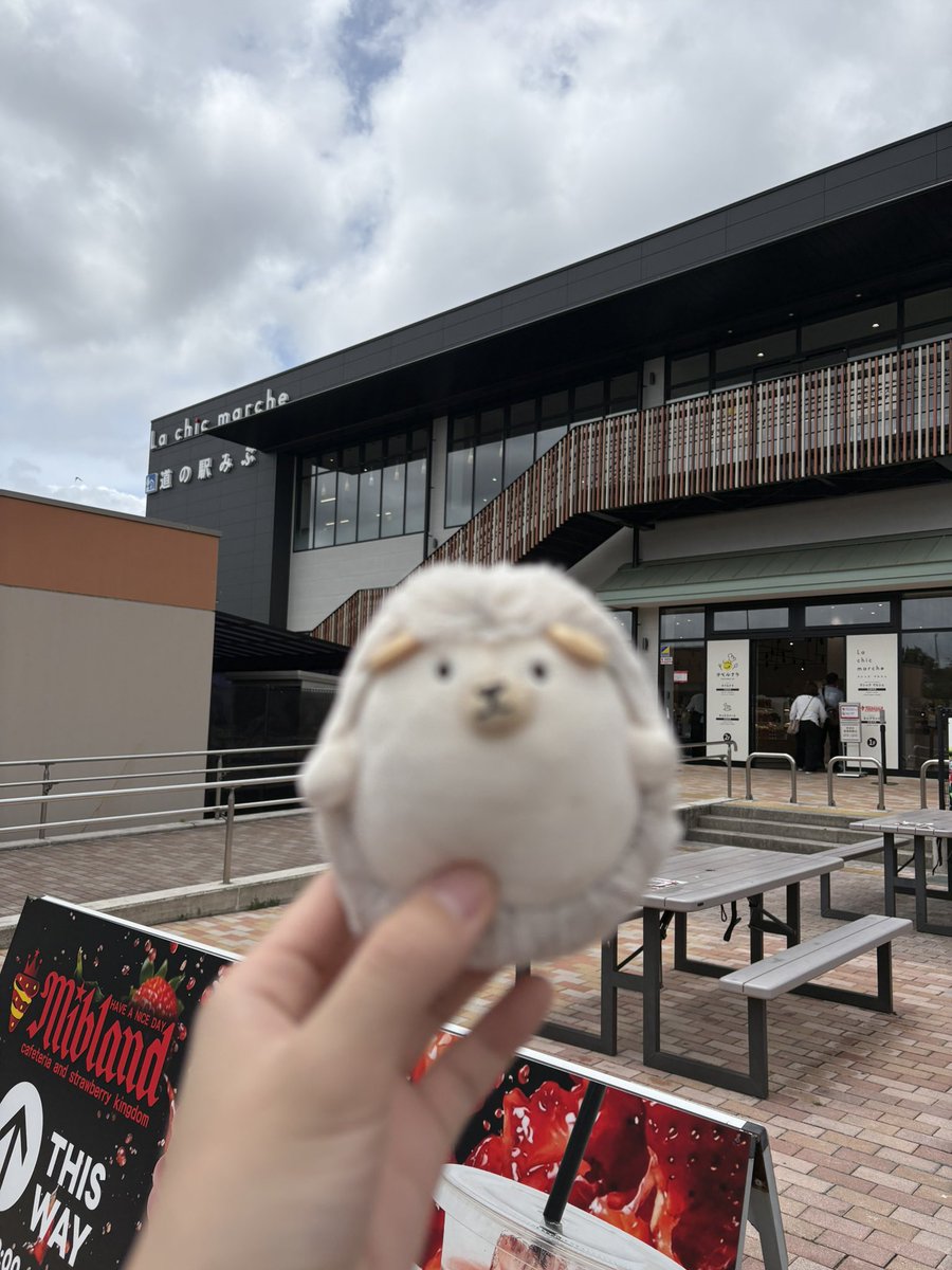kkrcho2's tweet photo. #ぬい活 #ピント合わせるのむずくないか #大きいお友達できたね https://t.co/QJsz6UUTYa