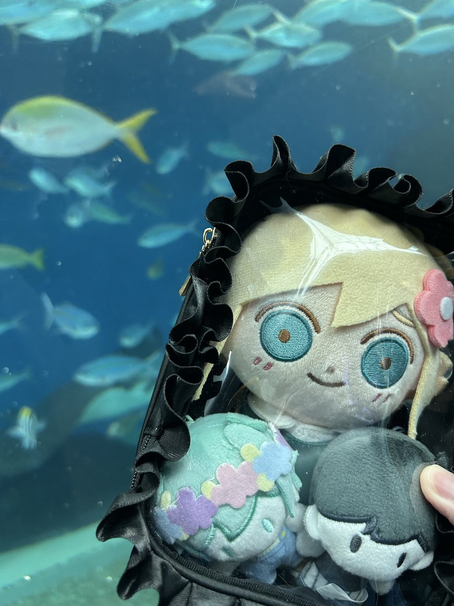 natu_61's tweet photo. 水族館行きました。
デジカメ持って魚とか海を写真撮ってたけど、最後は暑すぎてダウンしそうで すぐ帰りました。 https://t.co/zQqwM6pUIg
