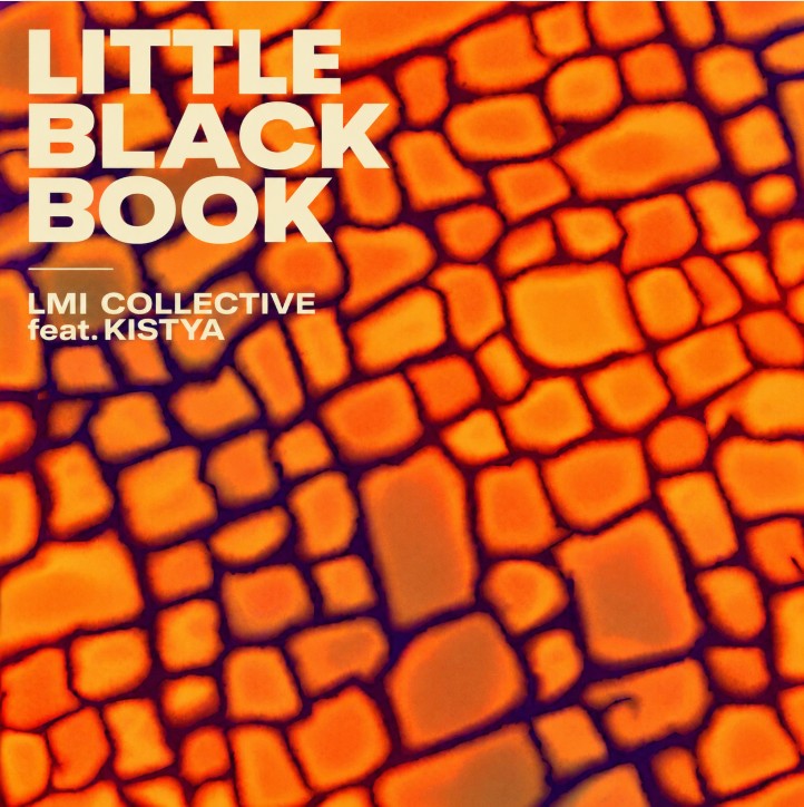 HardvarkRecords's tweet photo. https://t.co/JIbtPlw7pz LMI Collective feat. Kistya - Little Black Book #music #newmusic #newmusic2026 #hardvarkrecords https://t.co/30BcfAADni
