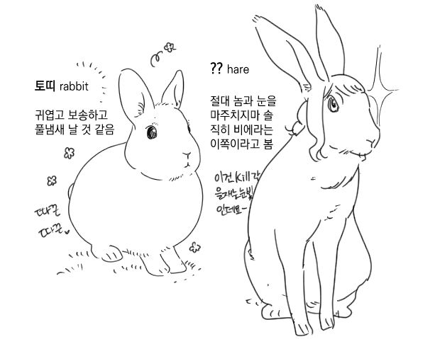 aille_stea's tweet photo. 🐰... https://t.co/eBrpmc1G9D