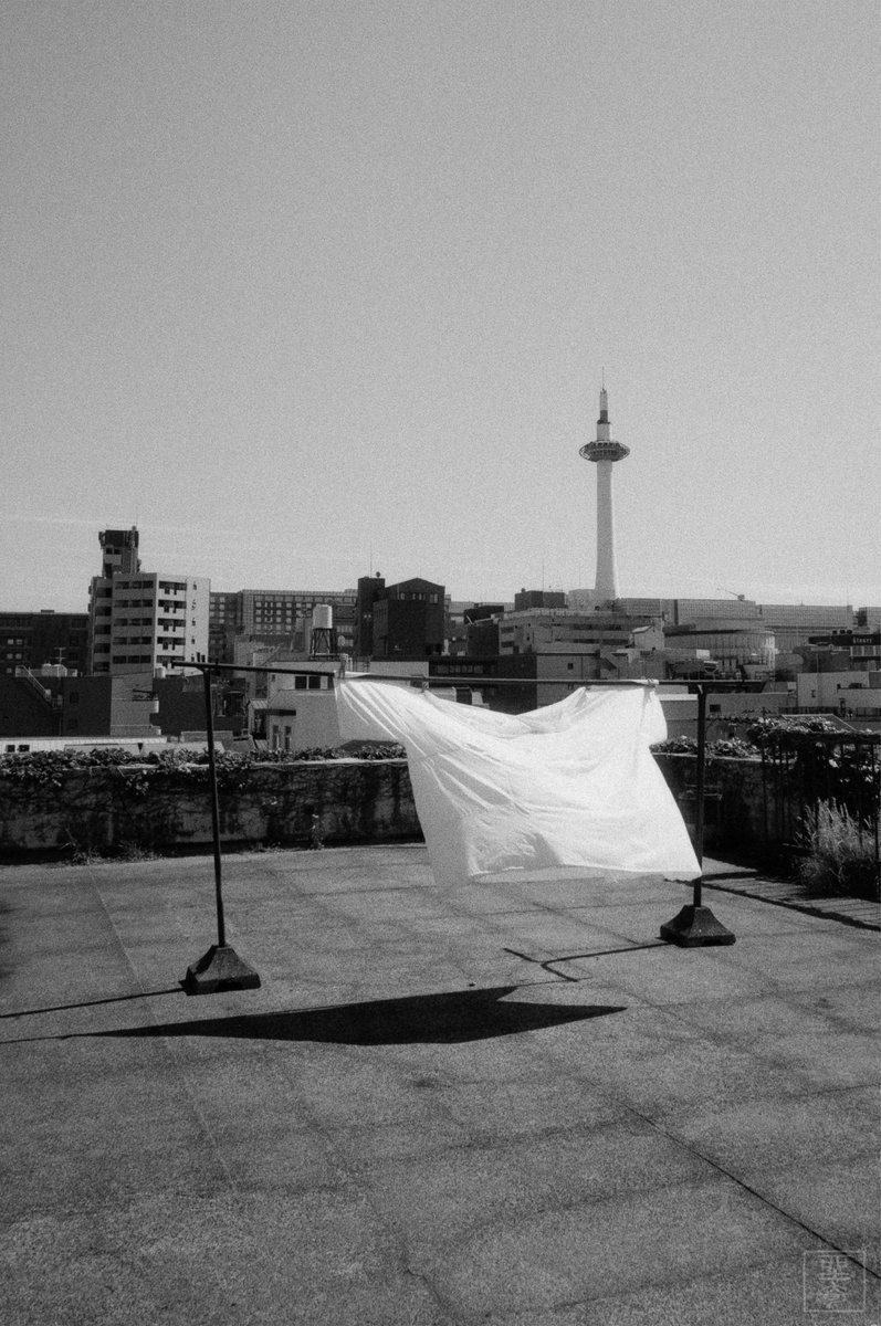 __ZAQI's tweet photo. 34°59'28.2"N 135°45'41.0"E  
MARIX 400 pushed to 800 
(MX-19 1:1 20℃ 12min) https://t.co/R095jbj2WY