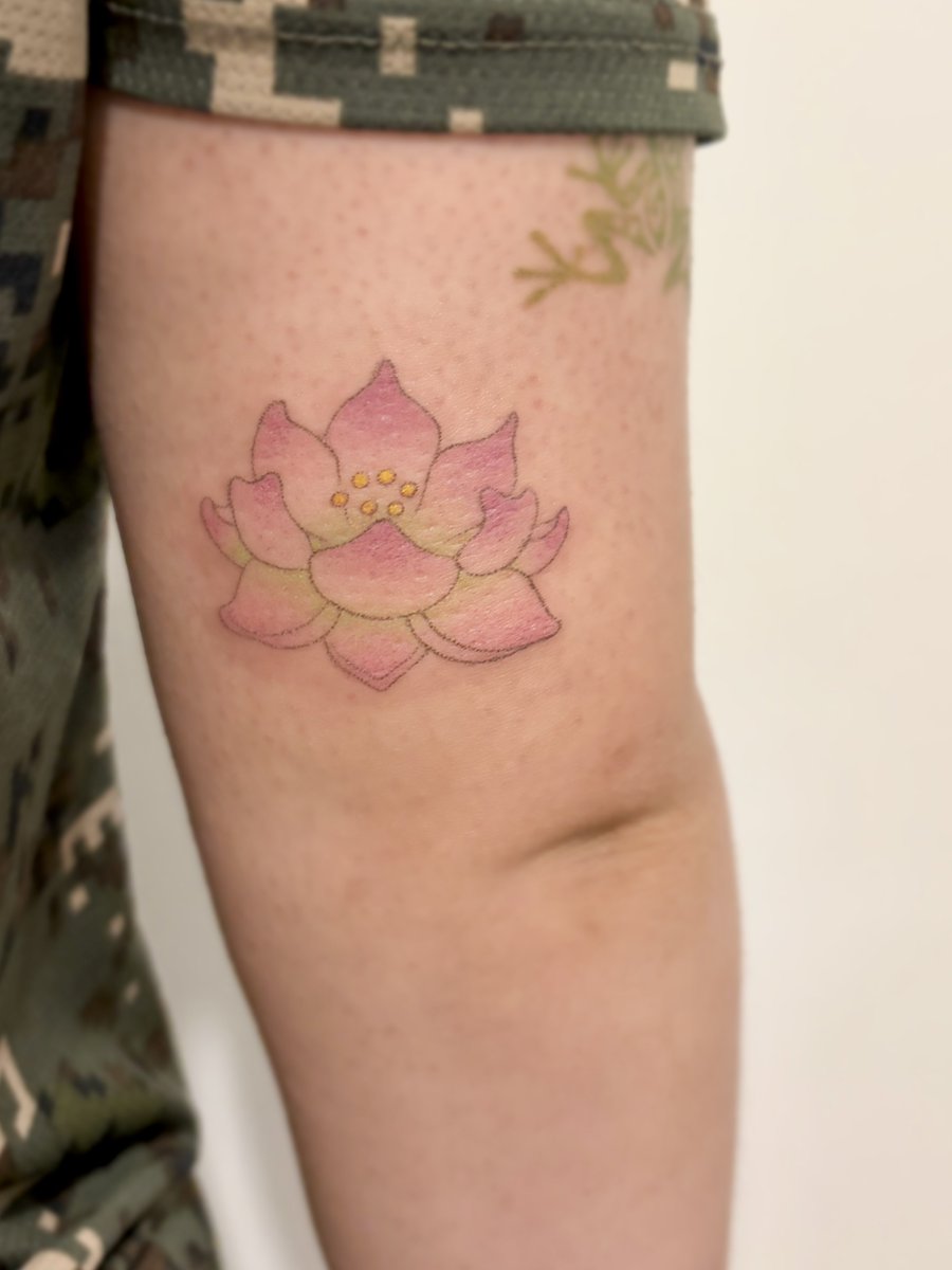 deulneedle's tweet photo. 🪷 https://t.co/8GN1YGpUbr