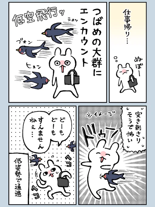 つばめの巣がたくさんあった

【グレうさぎ日記チャレンジ】   1284日目 