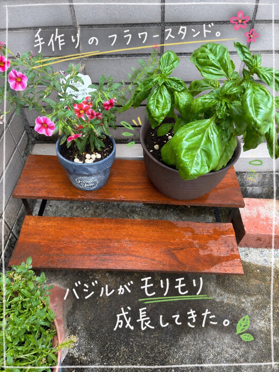 kano569's tweet photo. チャッピーに頑張ってもらいました。かわいい。 https://t.co/Pg56d978yQ