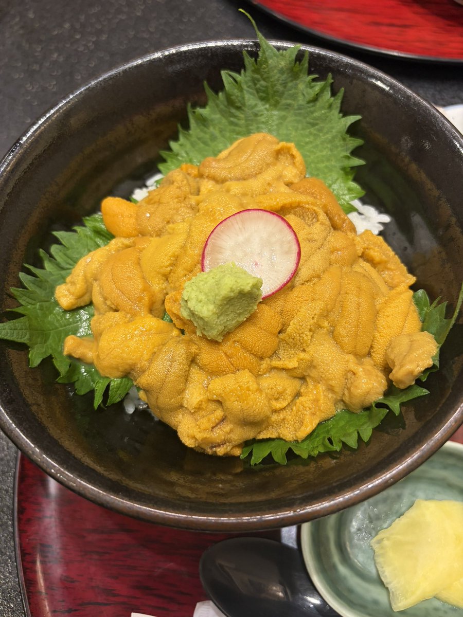 angellako's tweet photo. ウニ丼🎵
#南三陸 https://t.co/lLSePCpRlU