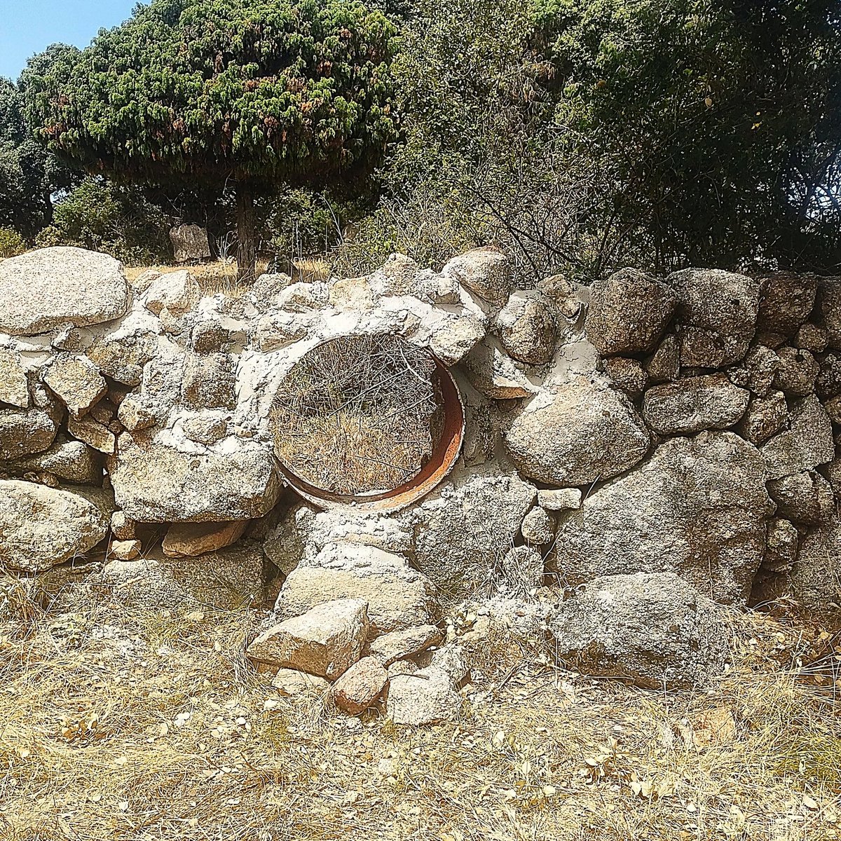 joel27799310's tweet photo. «lo que más nos encontramos son muros de piedra recrecidos con valla metálica sin una sola gatera y, por tanto, absolutamente infranqueables para la fauna🦡 La conectividad es fundamental para la conservación de las especies …Bravo por estos y otros propietarios👏🏻»@reforesta_ong https://t.co/VwXi6VBh8W