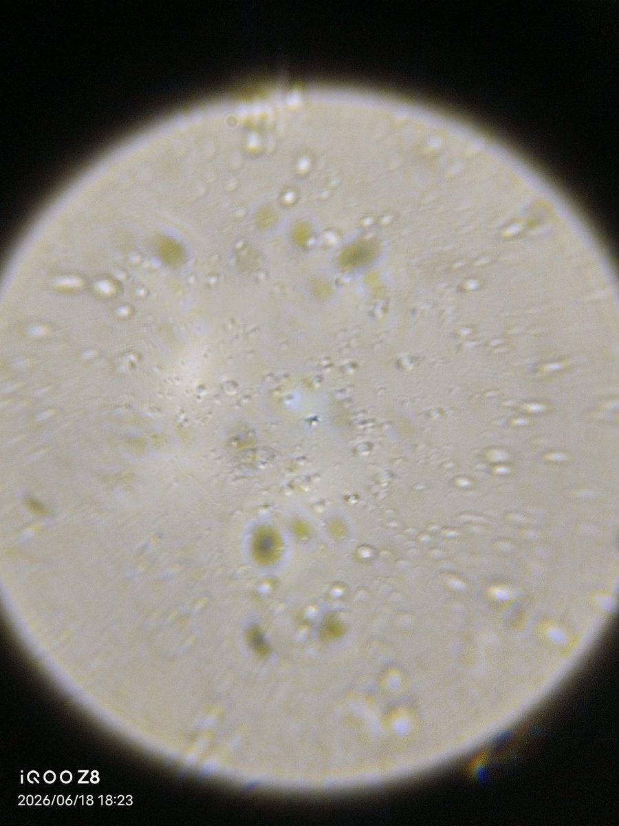 忧郁の水分子🍥［😭版］ tweet media