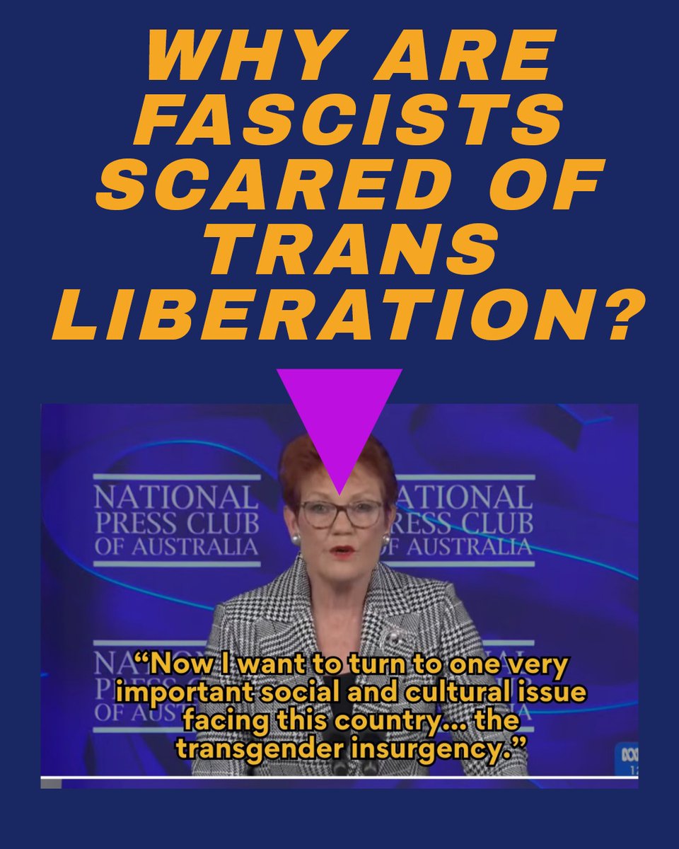 TransQueerSoli tweet picture