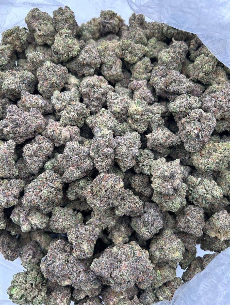 ExoticZaUS's tweet photo. 🔥 Purple hues, frosty crystals, and straight gas. Top-shelf flower with serious bag appeal. 🌿❄️
#ExoticWeed #GasPack #TopShelf #FrostyNugs #CannabisCommunity #420Life https://t.co/AZnEL6tiwx