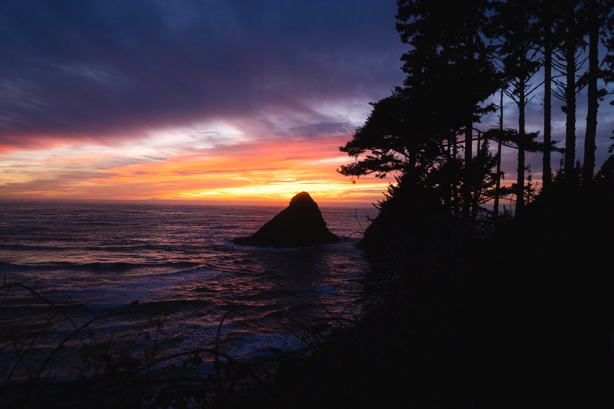_fletees's tweet photo. @TobyIsAFish @Aregiian oregon https://t.co/6oeG6bSx4J