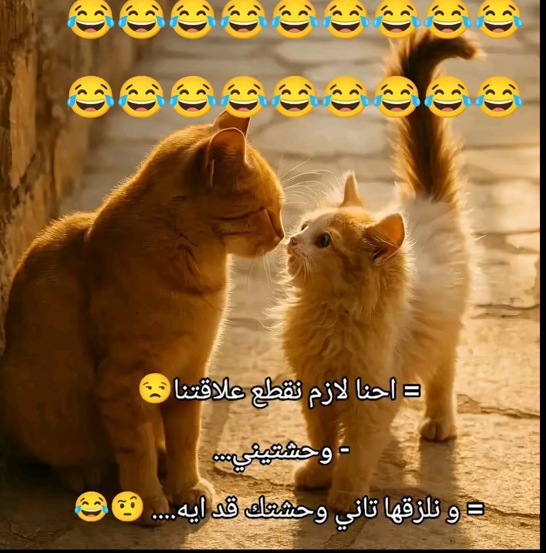 podanight's tweet photo. إحنا اهوووو 😂😂 https://t.co/lRj58J2Xkf