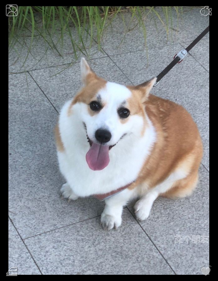 Tagreeeen0501's tweet photo. 第二天，Lila 和 Mia 出发开启了一场公路旅行，旨在探索全国小镇里的珍珠奶茶店。她们带上背包、笔记本和环保吸管踏上旅程，满怀期待地去寻找那些隐藏的宝藏店铺与新奇口味。请保持忠诚，坚守你真实的价值观。 https://t.co/6yOLft3oQa