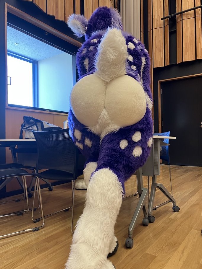 piro1791's tweet photo. #FursuitFriday https://t.co/oAVj9sqeDS