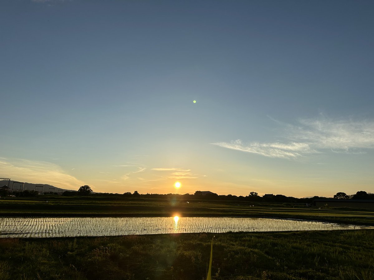 c4G5chan's tweet photo. 21年勤めた職場を退職。
4年前の事故から色々あって、今日ようやく一つ苦しみから解放されたかな？
毎週通うの辛かったなぁ。。。
帰り道、夕日があまりに綺麗で温かく優しくてぼーっと立ち止まってたら、何だか労われ励まされたようで少し前向きになれた。 https://t.co/63Y5eAc1e5