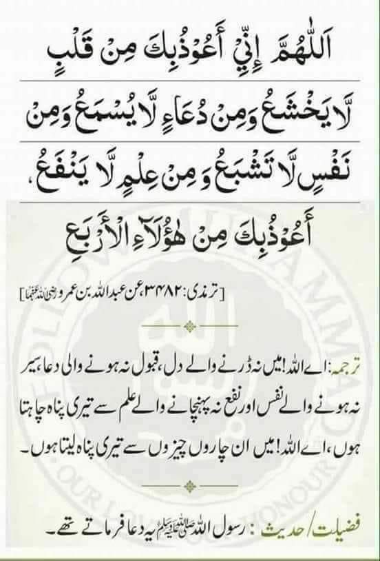 MIshaqDar50's tweet photo. https://t.co/yUXCm2ONvl