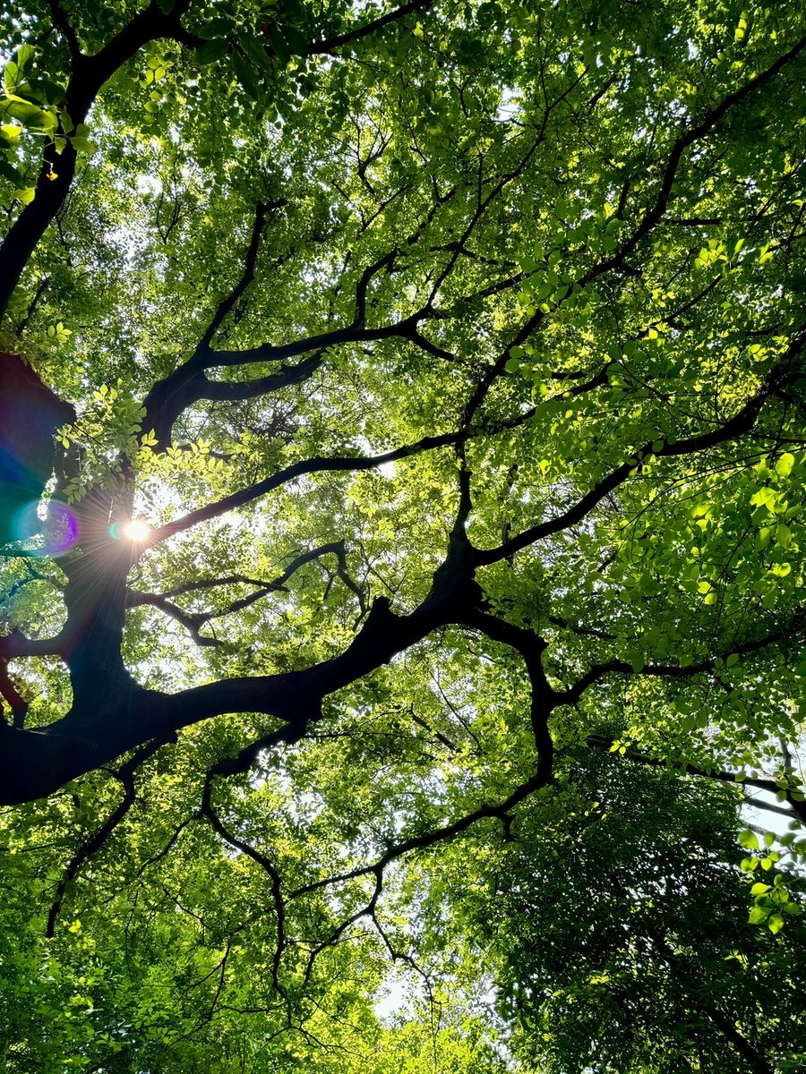 AirZlink01's tweet photo. summer feeling
#Summer #summerbreak #greenflashfes #beautiful https://t.co/jy6T9HrQHx