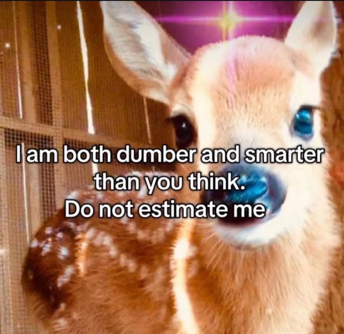 deershouldnt's tweet photo. https://t.co/jpKD1mTA6E