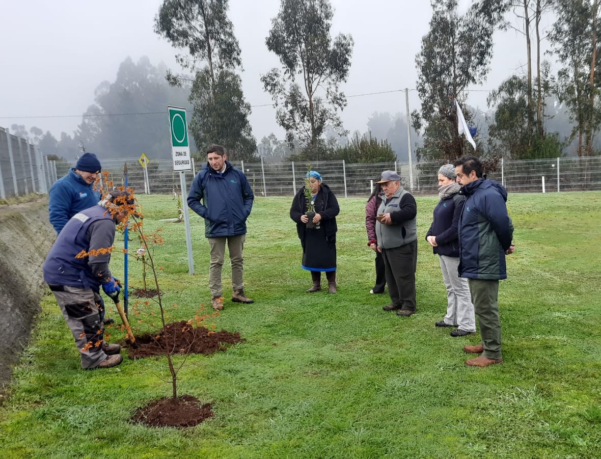 conaf_araucania's tweet photo. 🌱🤝 En el marco del Día de los Pueblos Indígenas y del We Tripantu, CONAF entregó 250 plantas nativas al Centro de Salud Intercultural Boroa Filulawen de #NuevaImperial

La iniciativa busca contribuir a la recuperación de espacios de valor ambiental, cultural y espiritual🌿 https://t.co/6kFNd93iU9