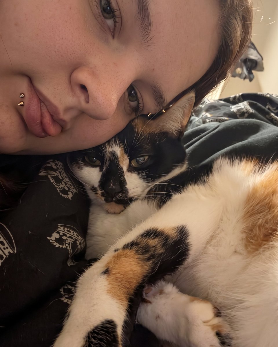 petsalive's tweet photo. Pets Alive Alumni Update: JUNE 🐱☀️ 
Formerly Priscilla, she’s thriving in her forever home! 👑 From moving homes to college life, June is her fur momma’s perfect sidekick. She loves sunny windowsills, squirrels, back naps &amp; meowing greetings. Queen of the house for sure! 💛 https://t.co/7gl7bKFVW8