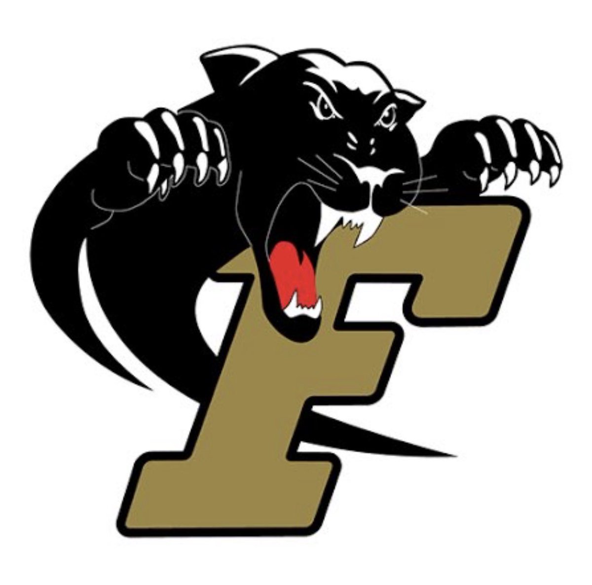Eli_Williams16's tweet photo. I will be @FerrumFootball this weekend.  I am ready to work. Thank you coach @CoachJeffGerzog for the invite🔒
@CoachDHaze @CoachAvianceSr @CoachDal_ @CoachG_BPHS @BrookePoint_FB https://t.co/JpNjarsPdq