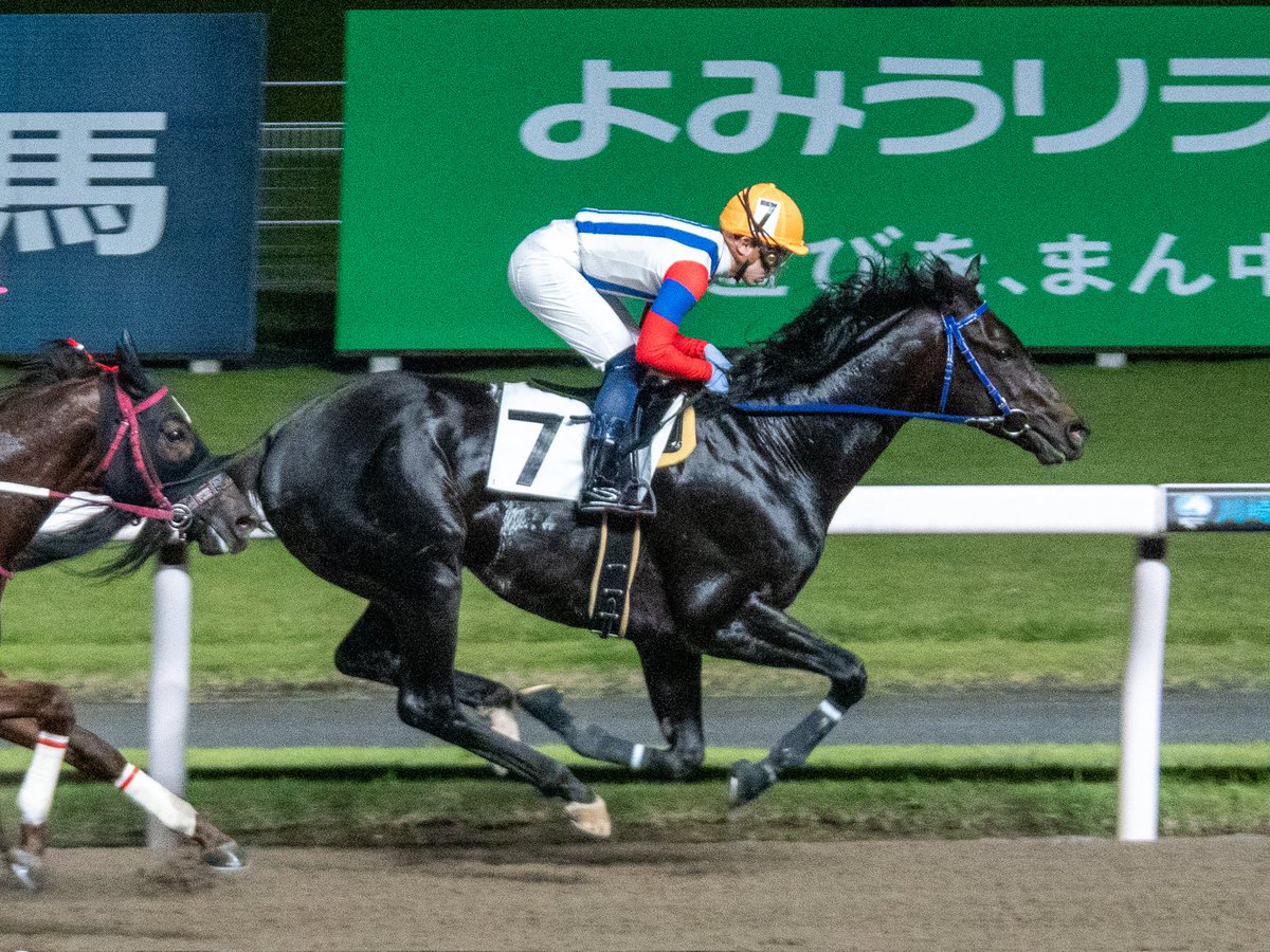 おしみ🐎🎶 tweet media