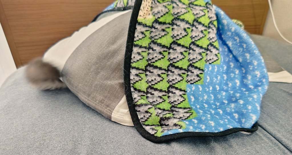 blackpocoss's tweet photo. 飼い主のまくらが何かもっこりしてたのでめくったらおった
（しっぽ見えてる） https://t.co/hLX3DUzvPQ