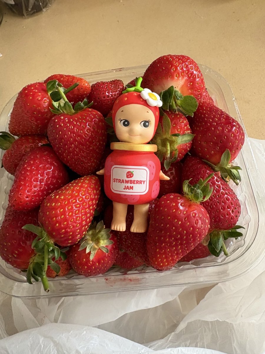 Hostqqed's tweet photo. #Strawberryprincess 
      Good morning oomfs I missed everyone, today I’m going on a trip to the beach- definitely going to be blasting my music in my ears while in the backseat + bought this cute sonny angel 🍓🤍 https://t.co/MgNcQY12he