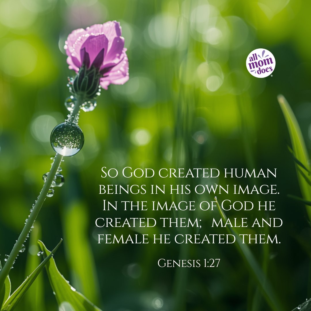 allmomdoes's tweet photo. Genesis 1:27 - So God created human beings in his own image. In the image of God he created them; male and female he created them.
.
.
#verse #dailyverse #hope #bibleverse #bible https://t.co/EUpXcuwyMW