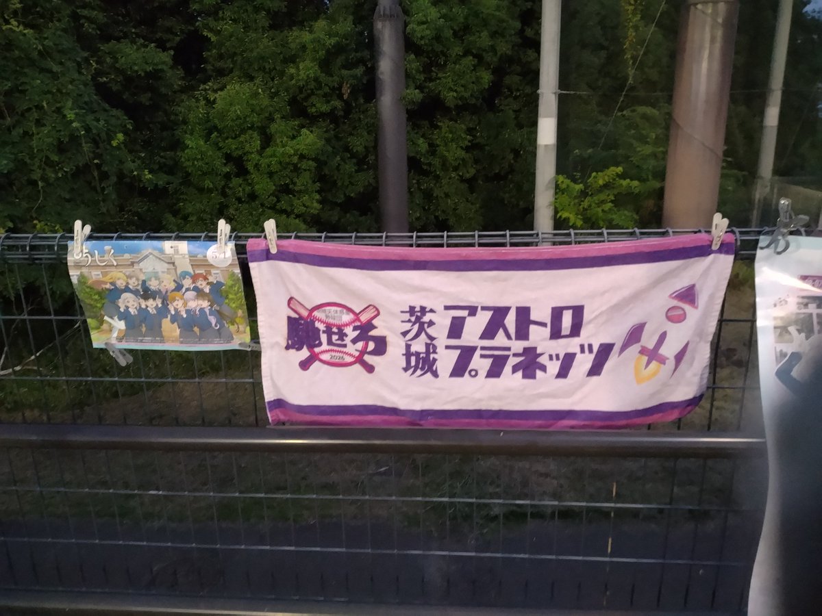 pankax2's tweet photo. 今日も仕事終わりに。
到着した時は、もう6回ウラでした😅
すると打線は沈黙し、
守りでは、ライトの吹上さんが 後逸して
バッターランナーが生還、などなど……😂
でも、勝ちは勝ち!😁
#PlanetsWIN ✌🏻
#茨城アストロプラネッツ ⚾️
#うしくさんぽ https://t.co/B3acc1GtLD