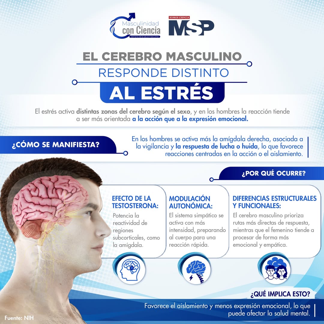 Revista MSP tweet media