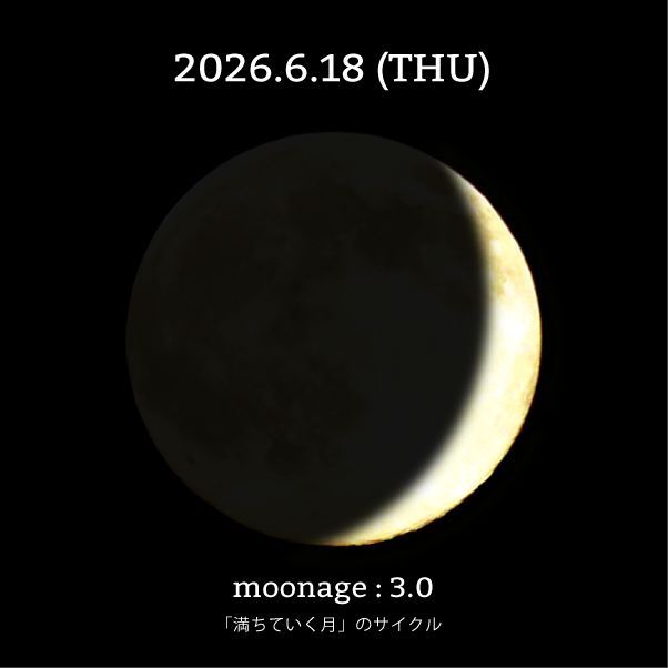 mooncylce's tweet photo. 今日の月齢は4.0。月は明日の深夜まで、たましいを静かに震わせるような喜びを、大胆に追求して生きる獅子座のエリアに。喜びこそ、あらゆる生命を輝かせるエネルギーの源泉。太陽の光と熱なくしては、地上の生命が命をつなぐことができないように。喜びがなければ…

続き→ https://t.co/i9bB7pjTR0