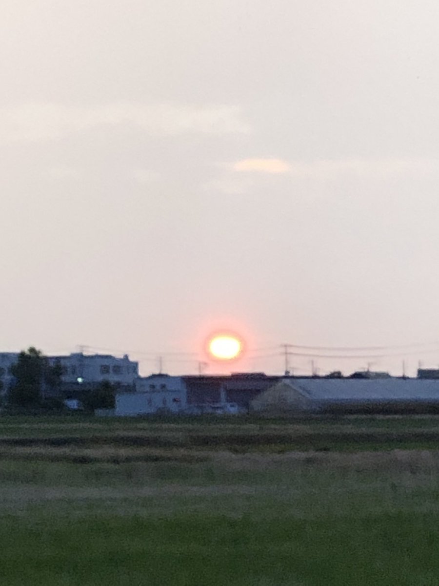 mako10runner's tweet photo. リカバリージョグ。
いまだに酷い筋肉痛ですが、大雨と雷が発生して猛ダッシュしました。
緊急時には走れるもんですね。 https://t.co/g81Prruklc
