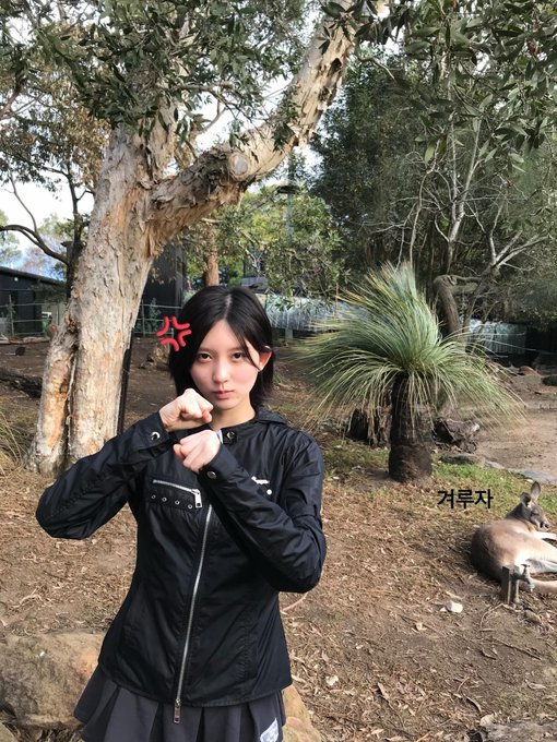 ivepics_global's tweet photo. #Gaeul | insta update🦊📷
Cr:@/ivepics_ https://t.co/m9FaaIEosD