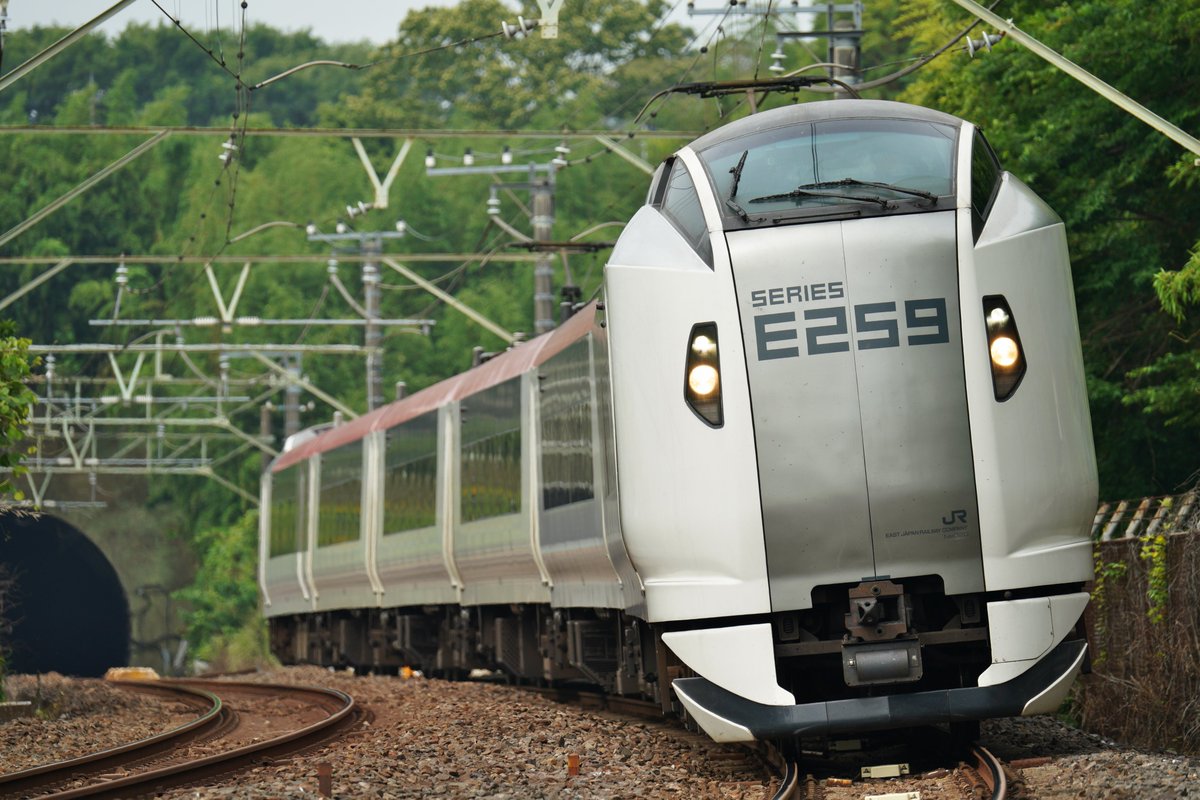 ponzou_'s tweet photo. 2026.06.07
E257계 임시 열차가 오기 전에 촬영한 차량입니다
Sony α9Ⅱ
TAMRON 150-500mm F/5-6.7 Di III VC VXD
#일본철도
#나리타익스프레스 https://t.co/YN8HhTvO0W