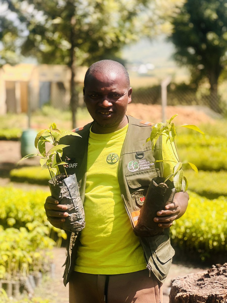 prince_wako's tweet photo. We can't just continue talking about global warming and it's effects without actually acting upon it, making adjustments where need be.
Join the @RwenzoriMarathn Team of Kasese this 20th June in an activation that's also going to focus on Tree planting and a Clean up to protect the environment, in partnership with @GoodForestsUg , sensitizing the community.

#TuskerLiteRwenzoriMarathon 
#GoodForestsFoundationUg