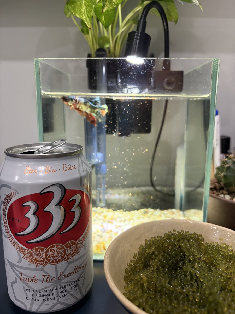 hige3333333's tweet photo. 木曜夜飲み🍻

#ぶどうで #一杯
#あっ #いっぱい
#乾杯🍻 https://t.co/8HDbtxGKXK