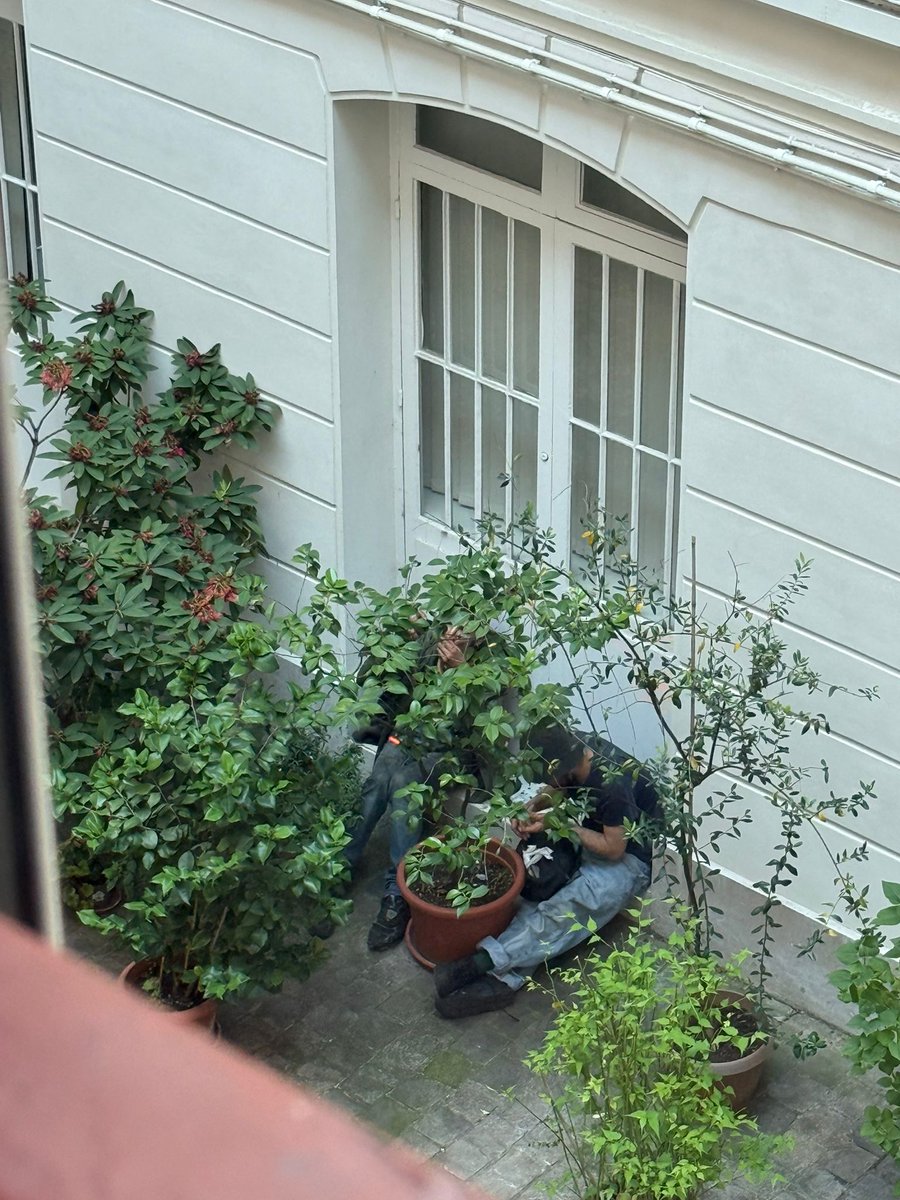 LariboisiereGDN's tweet photo. Mme la Maire @ACORDEBARD, des habitants de la rue G.Patin à quelques mètres de la salle de conso de drogues ont trouvé encore aujourd'hui 2 toxicomanes se shootant dans la cour de leur immeuble. C'est cette perspective que vous voulez pour les Parisiens d'autres arrondissements ? https://t.co/upNhJx3lvU
