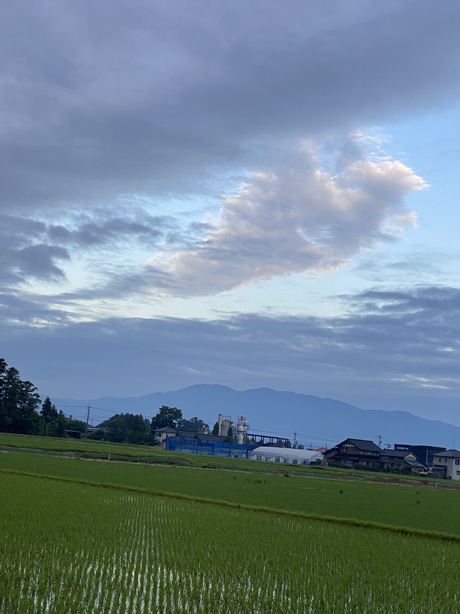 SHANKS85_'s tweet photo. 朝散歩☀️
空を見たらポケモンのカイリュウ💕
私にはそう見えた🤣

今日はバテバテなので、
おやすみなさい😴 https://t.co/3ygPml1izk