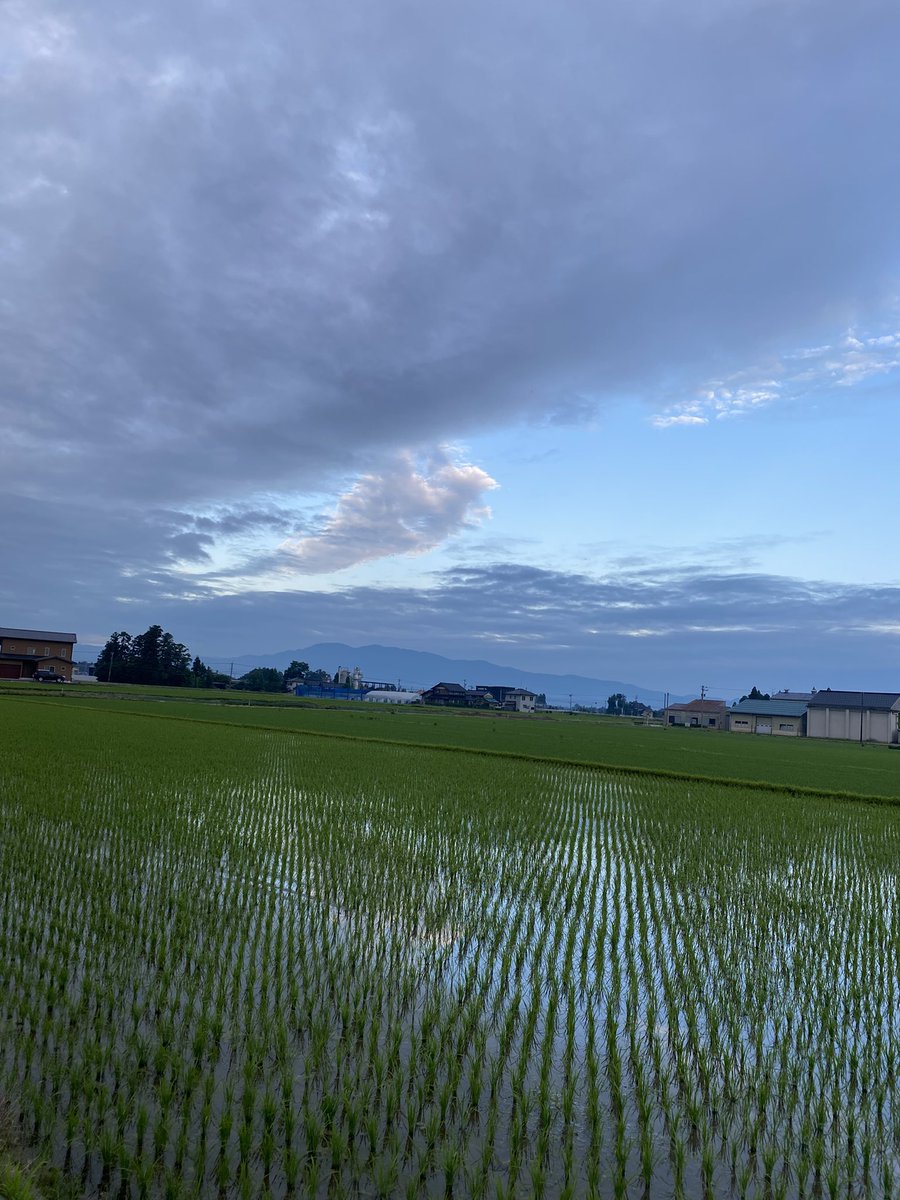 SHANKS85_'s tweet photo. 朝散歩☀️
空を見たらポケモンのカイリュウ💕
私にはそう見えた🤣

今日はバテバテなので、
おやすみなさい😴 https://t.co/3ygPml1izk