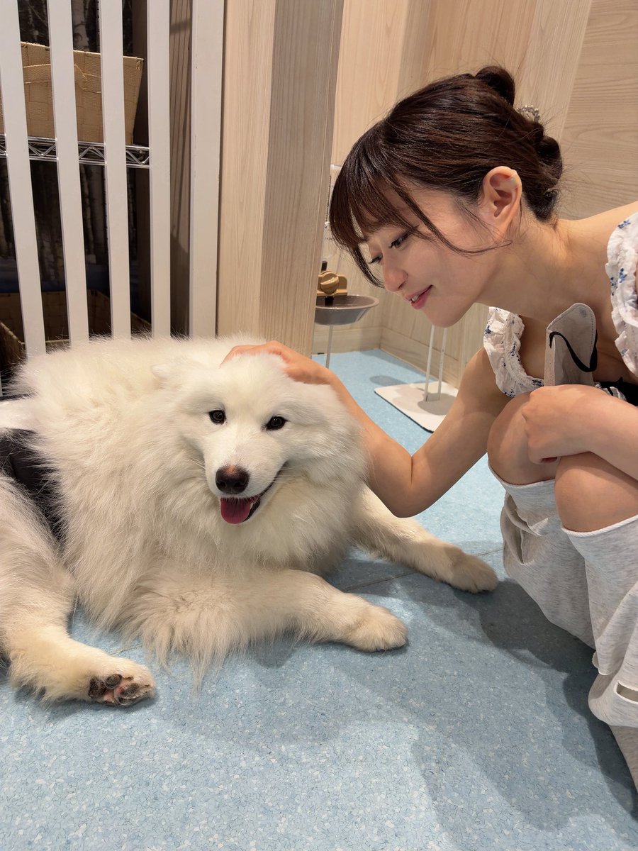 alva0511's tweet photo. 第五人格界隈、TLが殺伐としていて辛いので私の、彼女とデートなうに使っていいよの写真でも見てください😭🙏🙏
(誰得)

パイが危険ですが耐えてます😌😌 https://t.co/WA06n62cfI