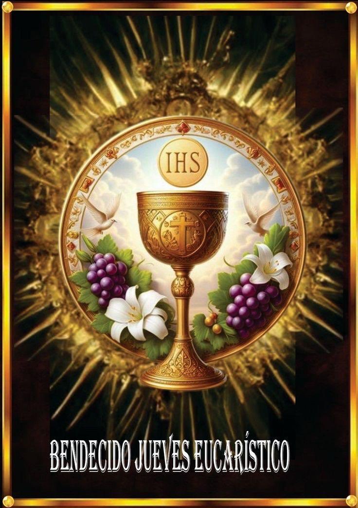 ArmadaRosario's tweet photo. 🙇🙏⚪🕊️✨👑✝️
*_Que toda rodilla se doble ante Ti, oh grandeza de mi Dios, tan sumamente humillada en la Sagrada Hostia. Que todo corazón te ame, todo espíritu te adore y toda voluntad se someta a Ti._* https://t.co/sXe3Tdi2AL