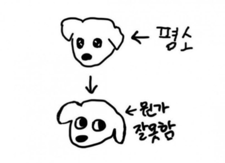 rippoppori's tweet photo. @Friesssyooni 대답하기전에 표정 이거랑 완전 똑같음 ㅋㅋㅋㅋㅋㅋㅋㅋ ㄱㅇㅇ ㅠㅜ https://t.co/RXBy7JafmT