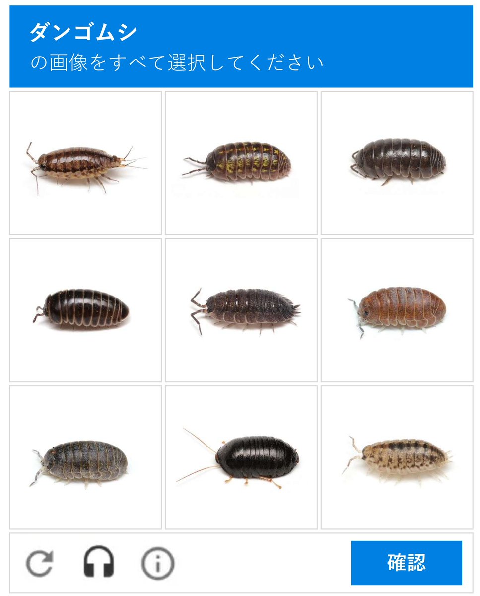 hide00888's tweet photo. ダンゴムシの画像をすべて選択してください https://t.co/wOE4bDprVY